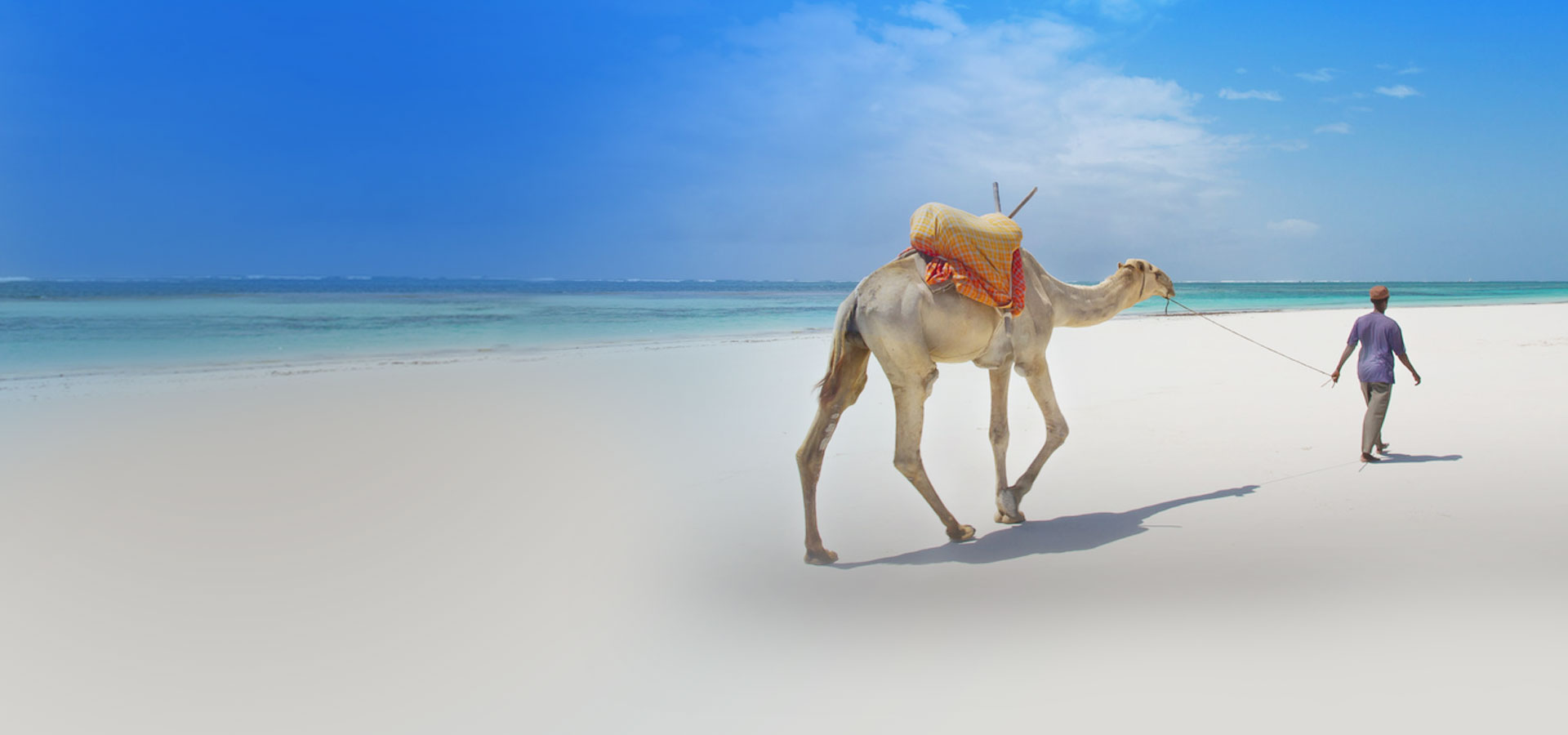 Camel Rides on The Beach