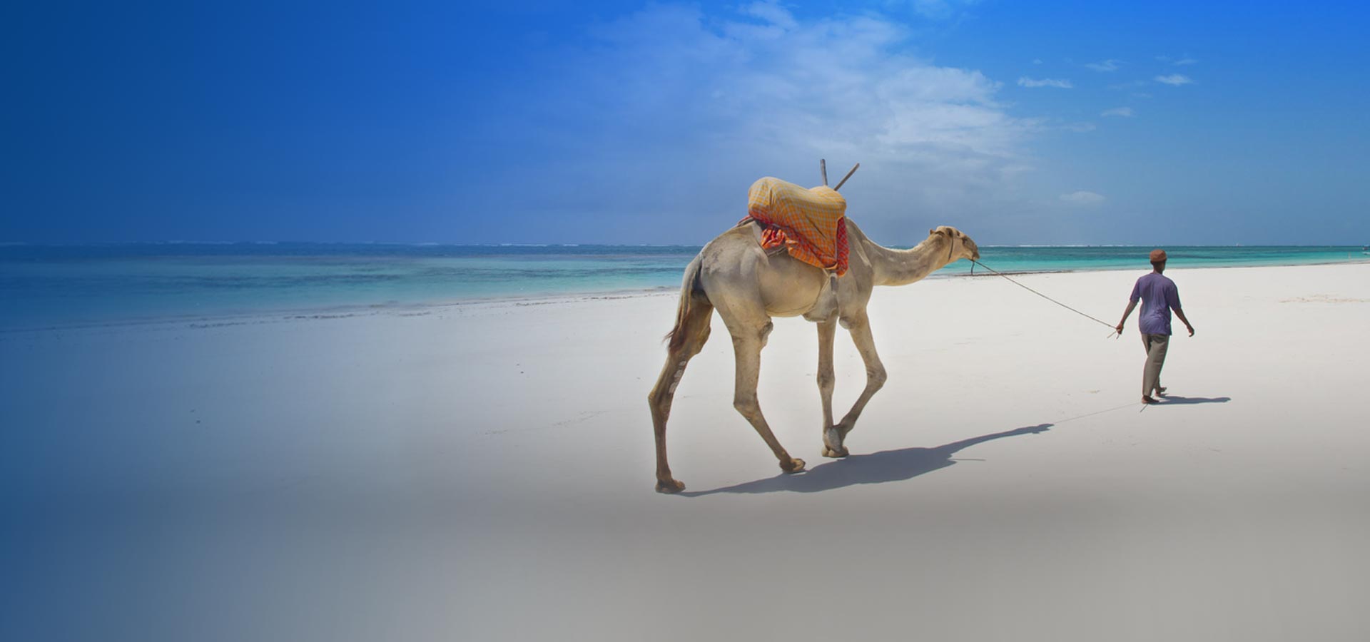 Camel Rides activities on The Beach at Lantana Galu Beach