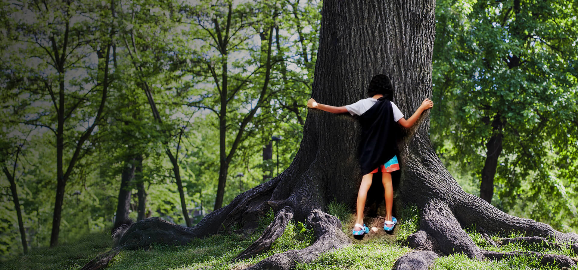Visit the Kaya Kinondo Sacred Forest 