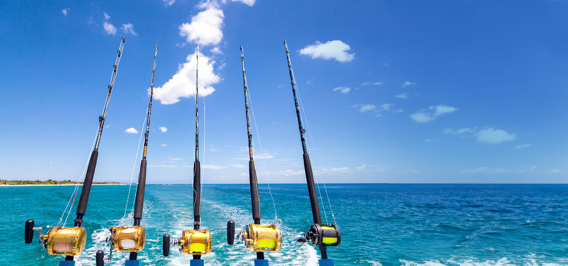 Deep Sea Fishing