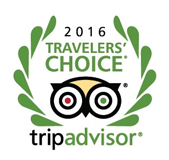 tripadvisor